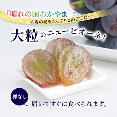 ふるさと納税 美作市 【2026年先行受付】ニューピオーネ 2kg(3房〜5房