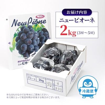 ふるさと納税 美作市 ニューピオーネ 2kg(3房〜5房) : さとふる - 通販
