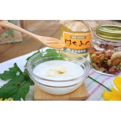 ふるさと納税 横手市 国産自家採集はちみつ2種詰め合わせ【アカシア・トチみつ】(計900g)_1