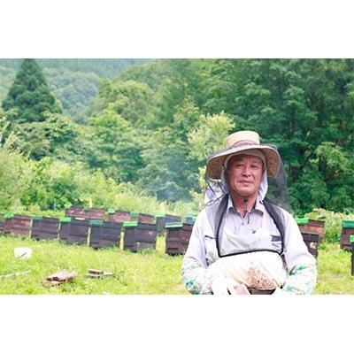 ふるさと納税 横手市 国産自家採集はちみつ2種詰め合わせ【アカシア・トチみつ】(計900g)_3