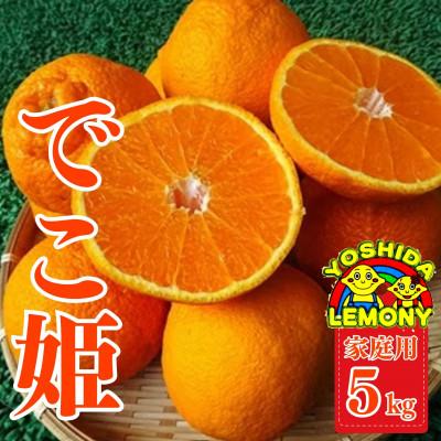 ふるさと納税 宇城市 先行予約 不知火 でこ姫5kg(13〜22玉) 家庭用