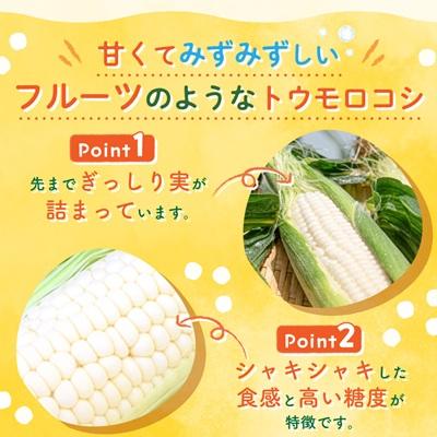 ふるさと納税 久御山町 まるでフルーツ 村田農園のパールコーン 10本