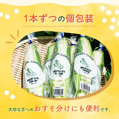 ふるさと納税 久御山町 まるでフルーツ 村田農園のパールコーン 10本