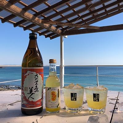 ふるさと納税 長島町 「さつま島美人」ご当地サイダー割りセット_sugi-7307