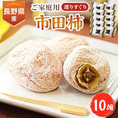 ふるさと納税 飯田市 長野・信州の特産品 選りすぐり市田柿10個セット ご自宅用