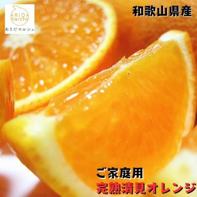 ふるさと納税 広川町 ≪出荷中≫有田育ちの完熟清見オレンジ(ご家庭用) 5kg