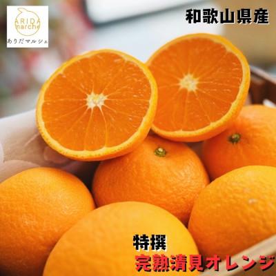 ふるさと納税 広川町 ≪出荷中≫特撰 完熟清見オレンジ 5kg