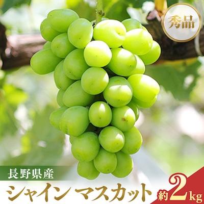 ふるさと納税 シャインマスカット 高森町 [大人気!]長野県産・シャインマスカット(約2kg) 秀品 [2026年9月下旬〜11月上旬発送]