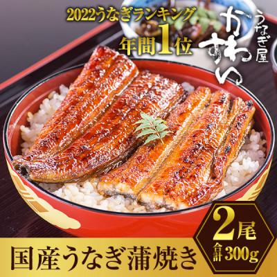 有田市 ふるさと納税 大サイズ 国産うなぎ蒲焼 2本 300g 338g さとふる 通販 Yahoo ショッピング