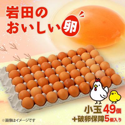 ふるさと納税 榛東村 岩田のおいしい卵　小玉49個 破卵保障5個入り