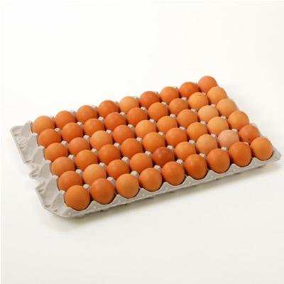 ふるさと納税 榛東村 岩田のおいしい卵　小玉49個+破卵保障5個入り |  | 01