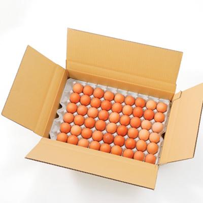 ふるさと納税 榛東村 岩田のおいしい卵　小玉49個+破卵保障5個入り |  | 03