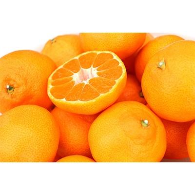 ふるさと納税 橋本市 【先行受付】柳フルーツ園 大玉みかん 約5kg Lサイズ | 