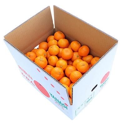 ふるさと納税 橋本市 【先行受付】柳フルーツ園 大玉みかん 約5kg Lサイズ |  | 02