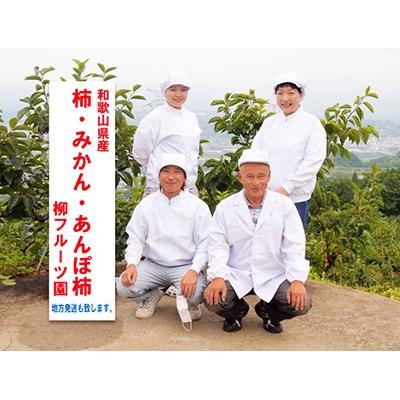 ふるさと納税 橋本市 【先行受付】柳フルーツ園 大玉みかん 約5kg Lサイズ |  | 03