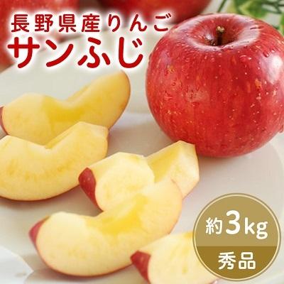 ふるさと納税 飯田市 人気の品種!長野県産りんご(サンふじ) 約3kg 秀品<2026年11月下旬〜12月中旬発送>