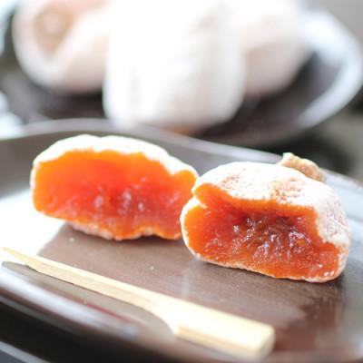 ふるさと納税 飯田市 長野県産 ご家庭用 市田柿(500g×4袋)<2027年1月中旬〜2月下旬発送>