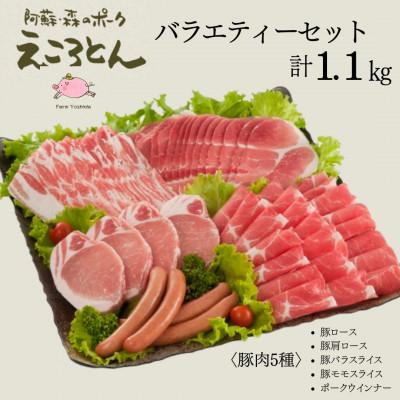 ふるさと納税 大津町 えころとん・豚肉(5種)計1.1kg・バラエティーセット [ファームヨシダ]