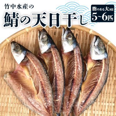 ふるさと納税 八幡浜市 竹中水産の「鯖の天日干し」脂のある大き目を5〜6匹ご用意![C22-265]