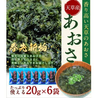 ふるさと納税 上天草市 天草産あおさ(乾燥)20g×6袋