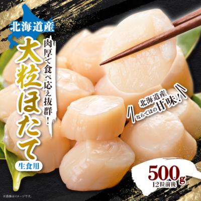 ふるさと納税 八雲町 [緊急支援品] Lサイズ ほたて 12粒前後 約500g 玉冷 貝柱 刺身用