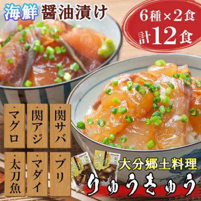 ふるさと納税 杵築市 豊後絆屋 大分郷土料理りゅうきゅう漬けセット(6種×2食)