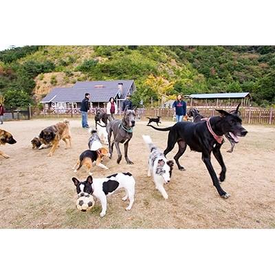 ふるさと納税 湯浅町 パートナーズハウスゆあさ ペア宿泊券(1泊2食付)
