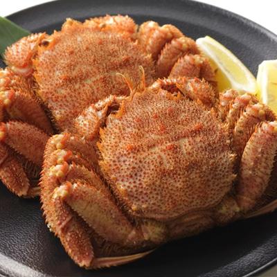 ふるさと納税 森町 冷凍ボタンエビ(約500g入)と冷凍浜茹で毛ガニ(約500g)2杯のセット