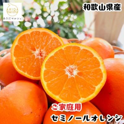 ふるさと納税 湯浅町 ≪出荷中≫有田育ちのセミノールオレンジ(ご家庭用) 7.5kg