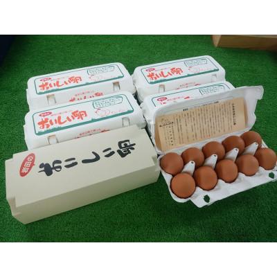 ふるさと納税 榛東村 岩田のおいしい卵　実用中玉60個 (10個入り×6パック)