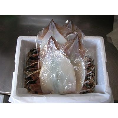 品多く あじ12尾 エボ鯛10尾 イカ一夜干4尾 伊豆直送定番干物大盛りセット 河津町 ふるさと納税 イカ 河津町 ふるさと納税 イカ Pomonavalleyminingco Com