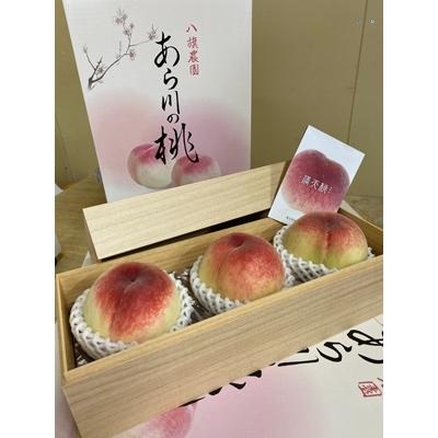 ふるさと納税 紀の川市 満天桃(MANTEN-NO-MOMO)3玉入[数量限定]