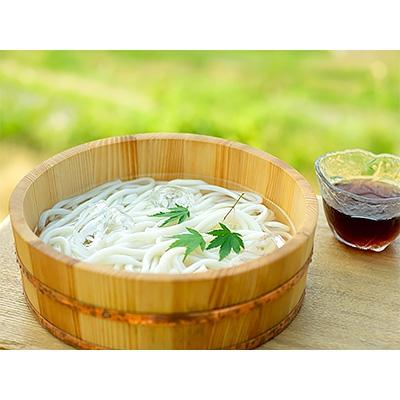 ふるさと納税 小豆島町 小豆島産 半生うどん(250g) 6個入