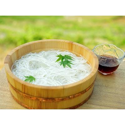 ふるさと納税 小豆島町 小豆島産 半生そうめん(250g) 10個入(めんつゆ付)