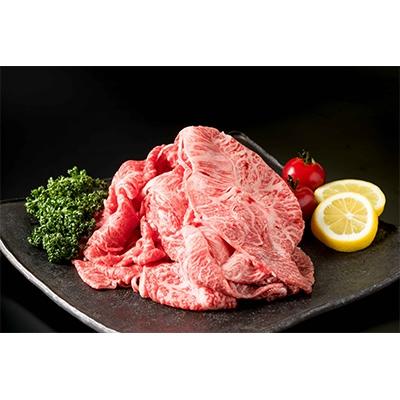 ふるさと納税 有田町 佐賀牛切り落とし肉 500g