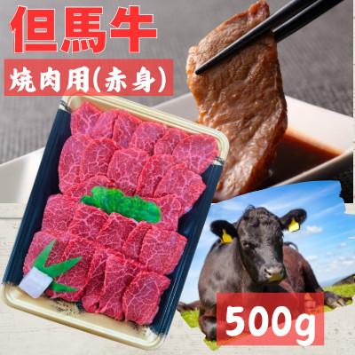ふるさと納税 豊岡市 但馬牛 焼肉用(モモ・肩部位)500g