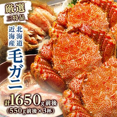 ふるさと納税 八雲町 3特毛ガニ550g前後×3尾