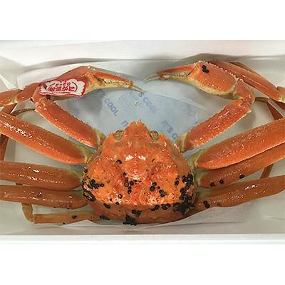 ふるさと納税 北栄町 鳥取県産タグ付きボイル松葉ガニ中1枚(600g〜700g)_2