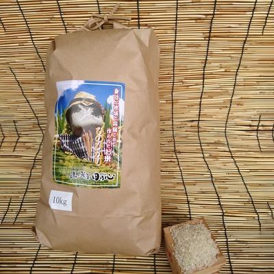 バーゲンで ふるさと納税 佐世保市 長崎ヒノヒカリ 白米10kg copper-tip.ca