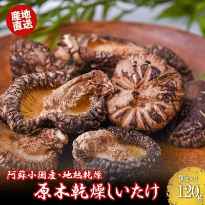 ふるさと納税 小国町 阿蘇小国産 地熱乾燥 原木しいたけ 30g 4袋 計120g 常温配送 ご自宅用 贈答用
