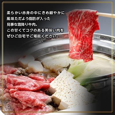 ふるさと納税 【全国】 嬉野市 【佐賀牛】モモ・ウデスライス500g