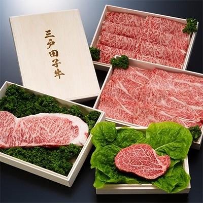 ふるさと納税 三戸町 【黒毛和種A4・B4等級以上】三戸田子牛セット　約3640g