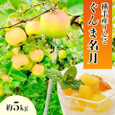 ふるさと納税 横手市 ご家庭用 希少品種!甘みが強い横手産りんご[ぐんま名月]約5kg