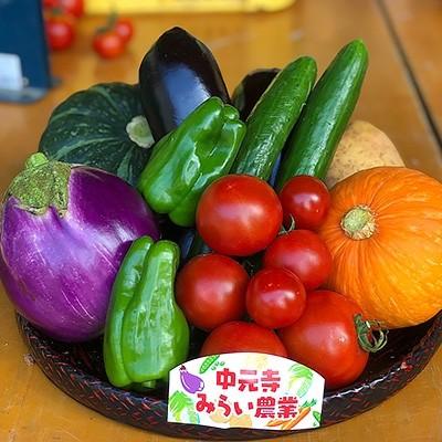 ふるさと納税 添田町 中元寺旬の実り野菜セット (旬の野菜7〜9種類程度)