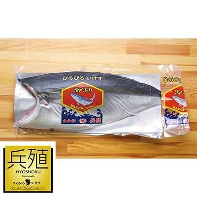 ふるさと納税 津久見市 【11月発送】ひろびろいけすぶり(フィレ・片身)1枚|y-sf|02