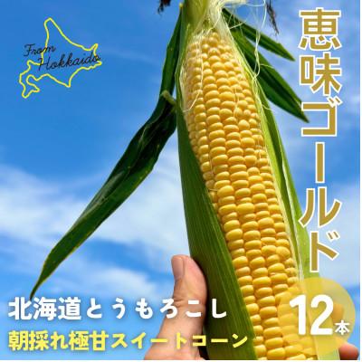ふるさと納税 江別市 朝もぎ直送|Ambitious Farm 極甘スイートコーン 12本[2026年7月下旬より発送]