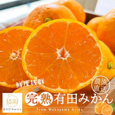 ふるさと納税 湯浅町 [先行受付・2026年11月〜発送]農家直送 完熟有田みかん 5kg サイズ混合