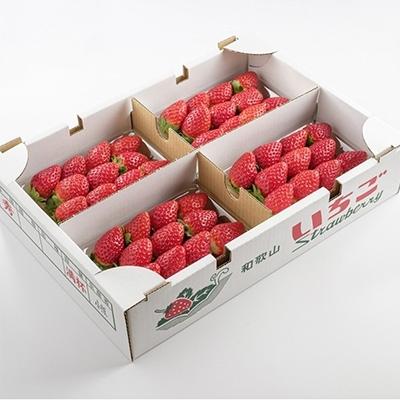 ふるさと納税 御坊市 農家直送 完熟まりひめ(和歌山県オリジナルブランドいちご)4P(2023年1月より順次発送)|y-sf|02
