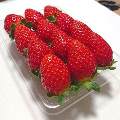 ふるさと納税 御坊市 農家直送 完熟まりひめ(和歌山県オリジナルブランドいちご)4P(2023年1月より順次発送)|y-sf|03