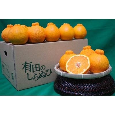ふるさと納税 湯浅町 [まごころ手選別]和歌山産 有田の不知火(しらぬひ) 約4kg [家庭用]サイズ混合